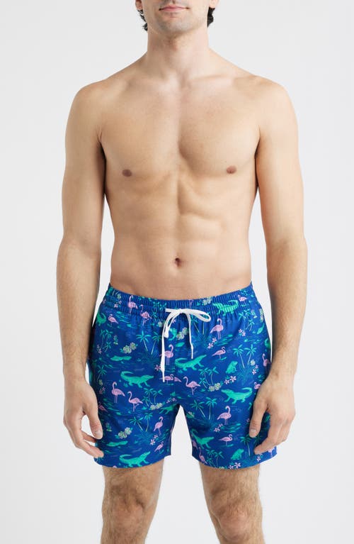 Chubbies Chubbies The Swamp & Circumstance 5.5-Inch Swim Trunks
