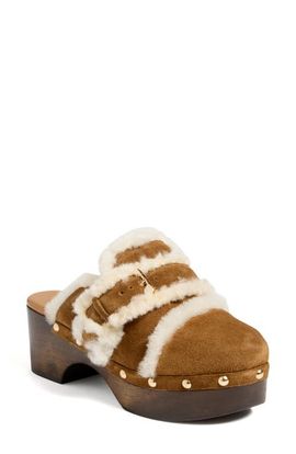 Cinq à Sept Cinq à Sept Wrenley Genuine Shearling Buckle Clog