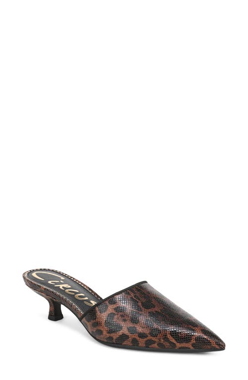 Circus NY by Sam Edelman Circus NY by Sam Edelman Gemma Mule