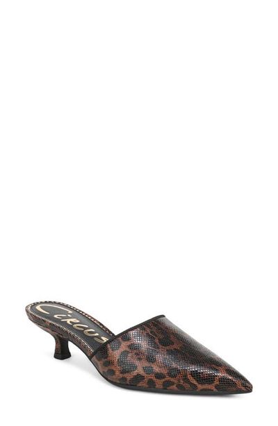 Circus NY by Sam Edelman Circus NY by Sam Edelman Gemma Mule
