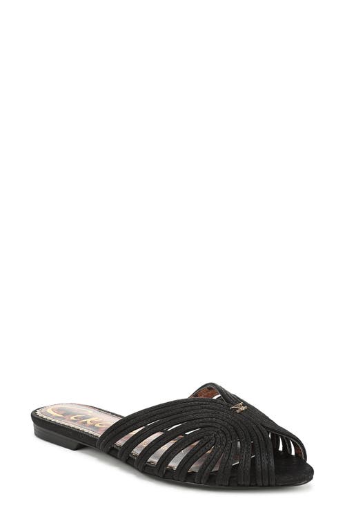 Circus NY by Sam Edelman Circus NY by Sam Edelman Kathleen Slide Sandal