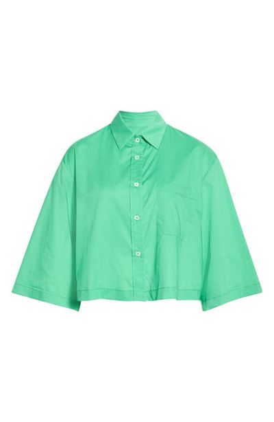 CISSA CISSA Crop Cotton Button-Up Shirt