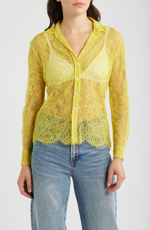 CISSA CISSA Slim Fit Lace Button-Up Shirt