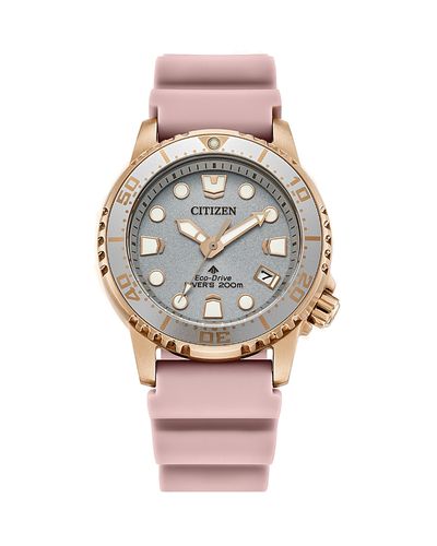 Citizen Citizen Eco-Drive Promaster Dive Watch, 36.5mm