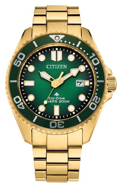 Citizen Citizen Promaster Sea Eco-Drive Diving Bracelet Watch, 41mm