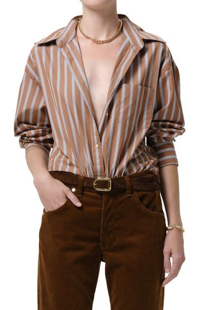 Citizens of Humanity Citizens of Humanity Thea Striped Boyfriend Shirt