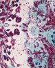 Cleobella Cleobella Dulcinea Ankle Dress Seraphine Print - 6