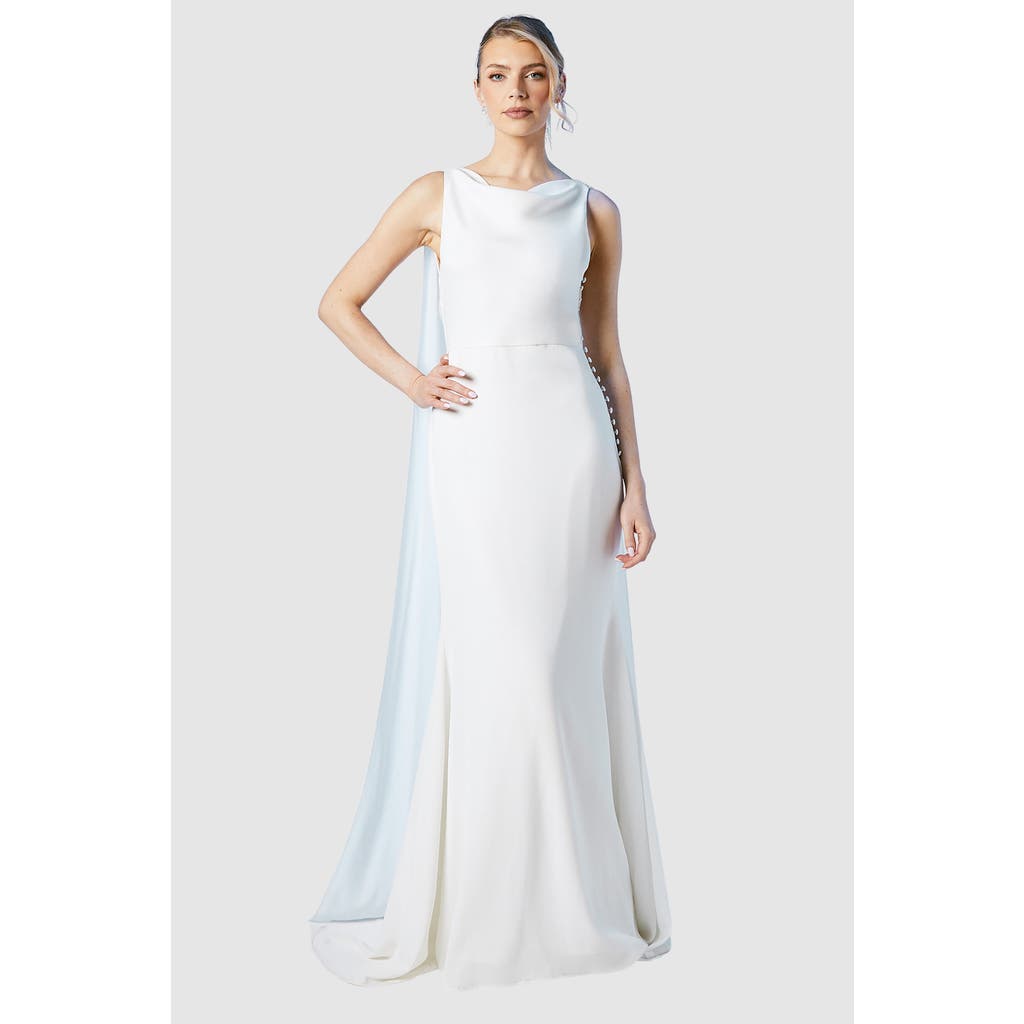 Coast Coast Chiffon Cowl Neck Maxi Dress