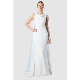 Coast Coast Chiffon Cowl Neck Maxi Dress