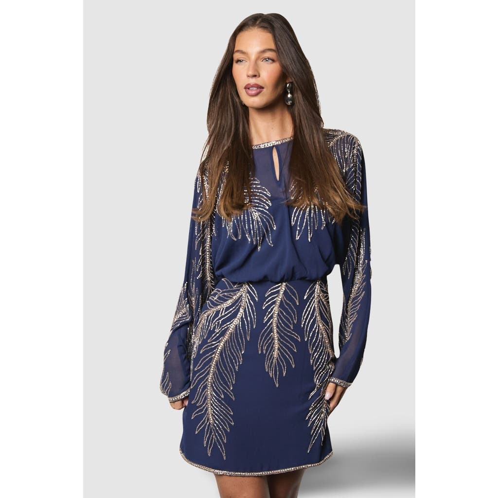 Coast Coast Feather Embellished Mini Dress