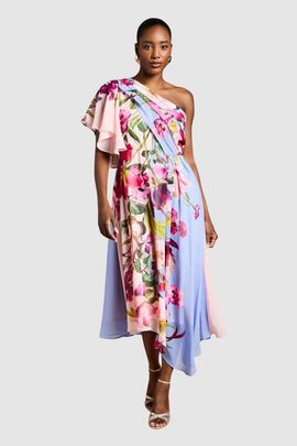 Coast Coast Floral Printed Chiffon Dress