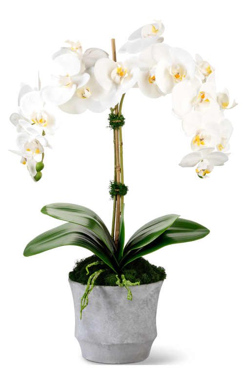 CocoBella CocoBella Rosalyn RealTouch Orchid