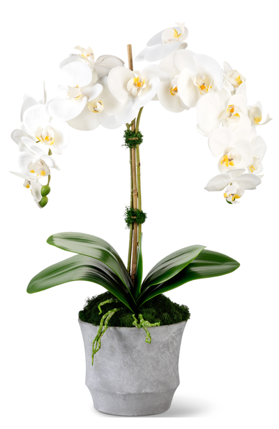 CocoBella CocoBella Rosalyn RealTouch Orchid