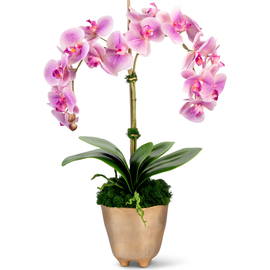 CocoBella CocoBella Rowan RealTouch Orchid