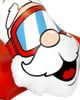 Coconut Outdoor Coconut Outdoor Santa Claus Racer, 54x36 - 5