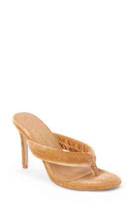 Coconuts by Matisse Coconuts by Matisse Calvin Flip Flop