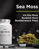 Codeage Codeage Amen Sea Moss, Bladderwrack & Burdock Seaweed Superfood - 4