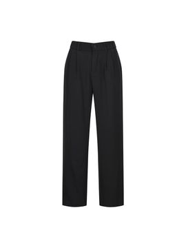 COIINCOS Semi-Wide Pin-tuck Elastic Waist Trousers (DZ4ML088)