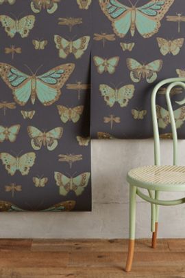 Cole & Son Lepidoptera Wallpaper Butterflies & Dragonflies Wallpaper