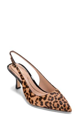 Cole Haan Cole Haan Hansell Genuine Calf Hair Slingback Pointed Toe Pump