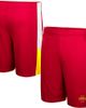 COLOSSEUM Men's Colosseum Cardinal Iowa State Cyclones Very Thorough Shorts  - 1