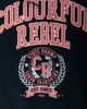 Colourful Rebel Colourful Rebel CR Varsity Relaxed Sweat - 3