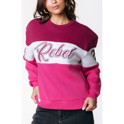 Colourful Rebel Colourful Rebel Logo Colourblock Boxy Sweat