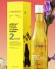 Contently Contently After All! Blanche & Powder Volumizing Shampoo - 5
