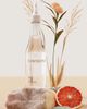 Contently Contently After All! Sleek Conditioner - 5
