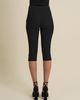 Contessa Mills Contessa Mills Benjamin Cropped Stretch Capri Pants - 3