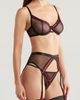 Coquette Coquette Lace Trim Mesh Underwire Bra, G-String & Garter Belt Set - 3
