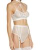 Coquette Coquette Strappy Choker Bra & High Waist Panties - 3