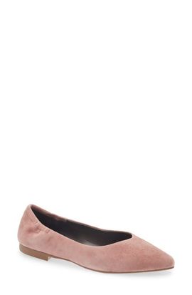 Cordani Cordani Mavis Pointed Toe Flat