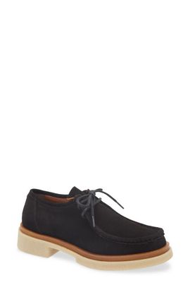 Cordani Cordani Maya Chukka Derby