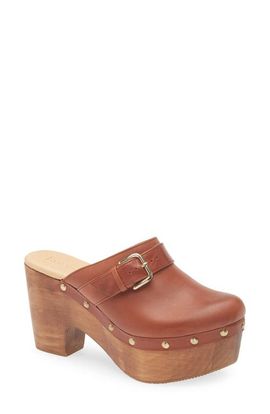 Cordani Cordani Platform Mule