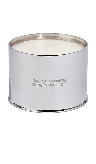 Costa Brazil Costa Brazil Vela Jungle Candle