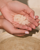 Cote Beauty Cote Beauty Bath Essentials Bundle - 5