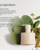 Cote Beauty Cote Beauty Daily Hair Essentials Set - 2