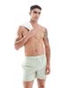 Cotton On Cotton On swim shorts in sage-Green - 1