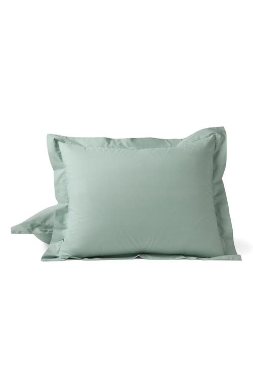 Coyuchi Coyuchi Refined Organic Cotton Percale Sham
