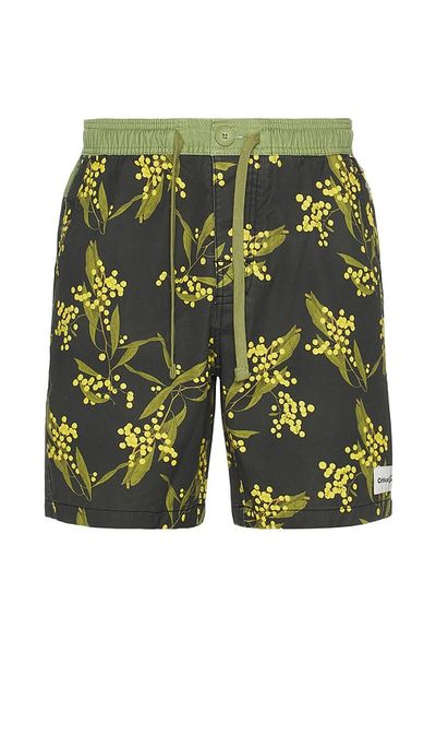 Critical Slide Critical Slide Acarcia 17 Swim Trunk