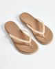 Crocs Crocs Miami flip flops in brown - 1
