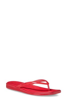 CROCS CROCS Miami Jelly Flip Flop