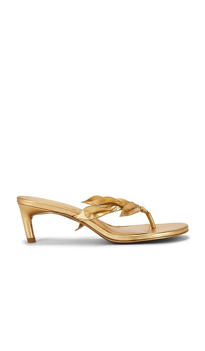Cult Gaia Cult Gaia Andie Sandal