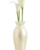 Cult Gaia Cult Gaia Florence Clutch Ivory One - 1