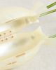 Cult Gaia Cult Gaia Florence Clutch Ivory One - 4
