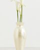 Cult Gaia Cult Gaia Florence Clutch Ivory One - 6