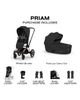 CYBEX CYBEX PRIAM Stroller & Fold Lux Carry Cot Set - 3