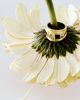 Daisy London Daisy London Daisy Ring - 1