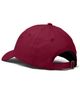 Dalix Dalix Cupcake Dad Cap - 4